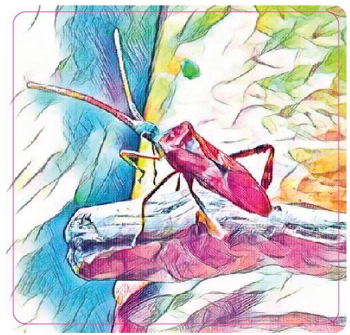 Stinkbug 1 Sticker