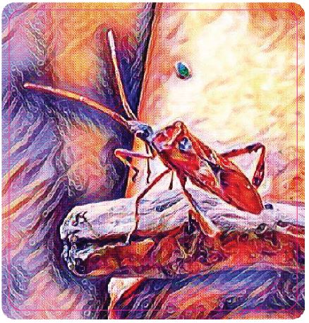 Stinkbug 2 Sticker